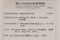 山羽蘚藏品圖，第2張