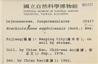 鰓葉苔藏品圖，第2張