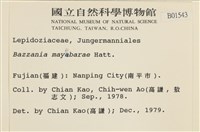 登錄號:B00001543藏品圖，第2張