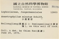 小挺葉苔藏品圖，第2張