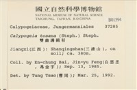 雙齒護蒴苔藏品圖，第2張