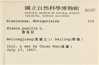 壺苞苔藏品圖，第2張