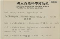 濕原蘚藏品圖，第2張