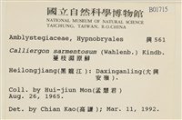 蔓枝濕原蘚藏品圖，第2張