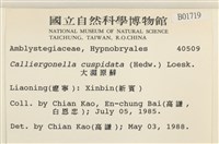 大濕原蘚藏品圖，第2張
