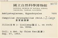 黃葉細濕蘚藏品圖，第2張