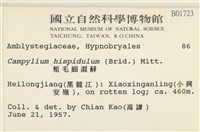 登錄號:B00001723藏品圖，第2張