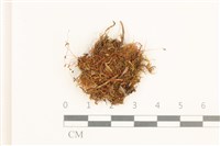 登錄號:B00001723藏品圖，第1張