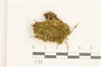 登錄號:B00001724藏品圖，第1張