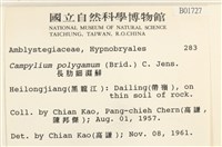 長肋細濕蘚藏品圖，第2張