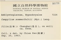 稀齒細濕蘚藏品圖，第2張