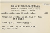 登錄號:B00001733藏品圖，第2張