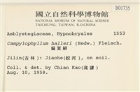 偏葉蘚藏品圖，第2張