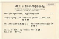 偏葉蘚藏品圖，第2張