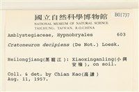 登錄號:B00001737藏品圖，第2張
