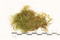 登錄號:B00001738藏品圖，第1張