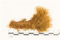 登錄號:B00001740藏品圖，第1張