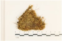 登錄號:B00001779藏品圖，第1張