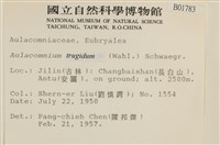 登錄號:B00001783藏品圖，第2張