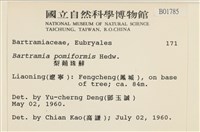 登錄號:B00001785藏品圖，第2張