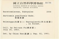 登錄號:B00001786藏品圖，第2張