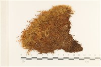 登錄號:B00001786藏品圖，第1張