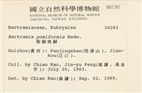 登錄號:B00001787藏品圖，第2張