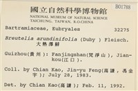 大熱澤蘚藏品圖，第2張