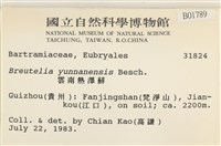 雲南熱澤蘚藏品圖，第2張