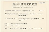 細枝青蘚藏品圖，第2張
