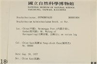 登錄號:B00001804藏品圖，第2張