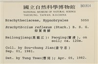 仰葉青蘚藏品圖，第2張