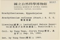 仰葉青蘚藏品圖，第2張