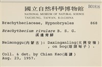 溪邊青蘚藏品圖，第2張
