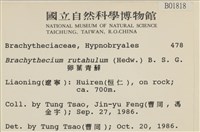 卵葉青蘚藏品圖，第2張