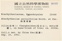 鉤葉青蘚藏品圖，第2張