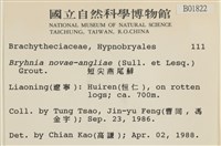燕尾蘚藏品圖，第2張