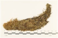 真蘚藏品圖，第1張