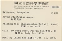 刺葉真蘚藏品圖，第2張