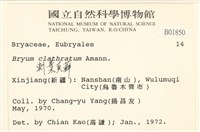 刺葉真蘚藏品圖，第2張