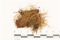 登錄號:B00001865藏品圖，第1張