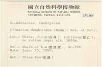 登錄號:B00001869藏品圖，第2張