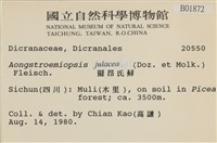 擬昂氏蘚藏品圖，第2張