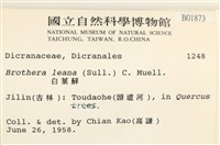 登錄號:B00001873藏品圖，第2張