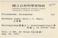 登錄號:B00001874藏品圖，第2張