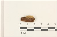 登錄號:B00001874藏品圖，第1張