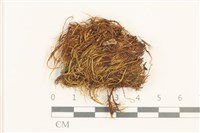 登錄號:B00001875藏品圖，第1張