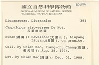 登錄號:B00001876藏品圖，第2張