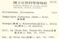 曲柄蘚藏品圖，第2張