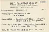 臺灣曲柄蘚藏品圖，第2張